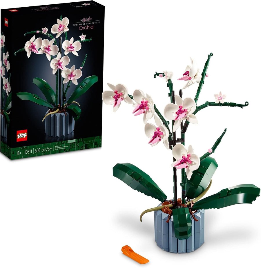 LEGO Orquídea 10311 montado, com flores brancas e rosa em vaso azul, ao lado da caixa da coleção Botanical
